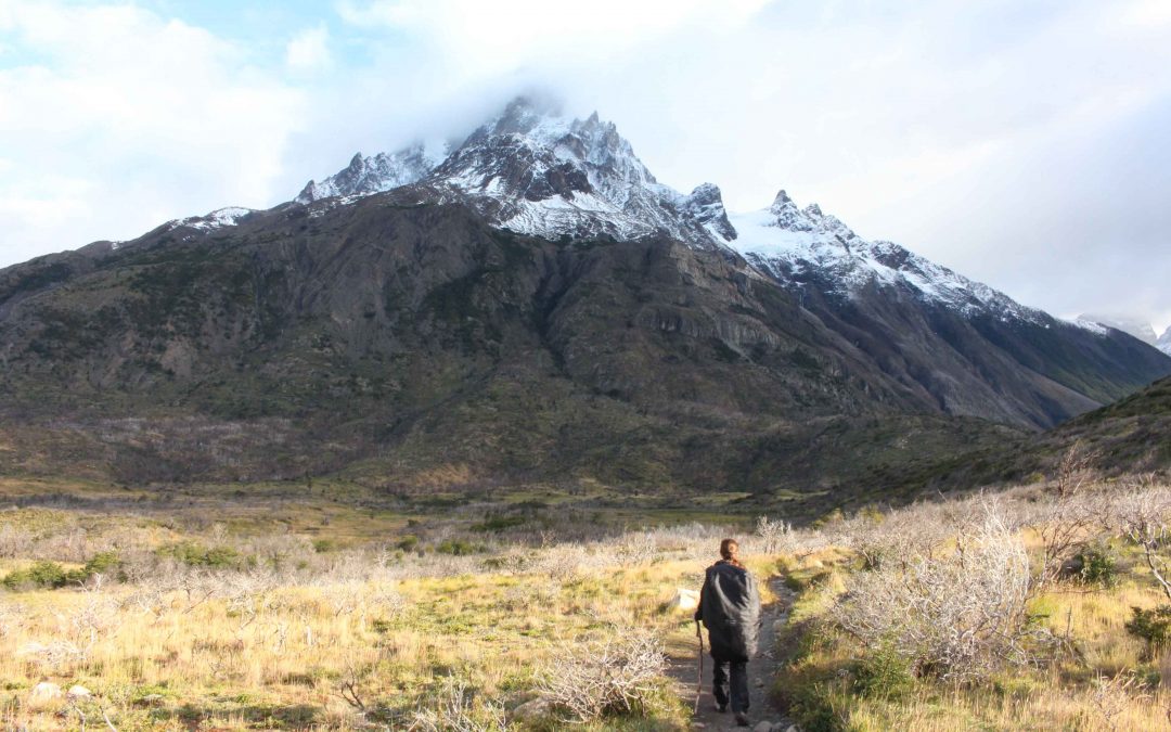 Puerto Natales : no Paine, no gain