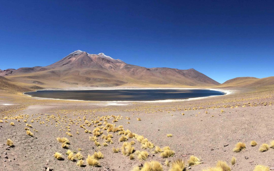 San Pedro de Atacama : immersion dans le désert