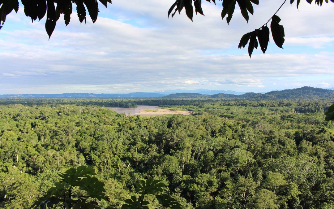 Rurrenabaque : immersion en Amazonie