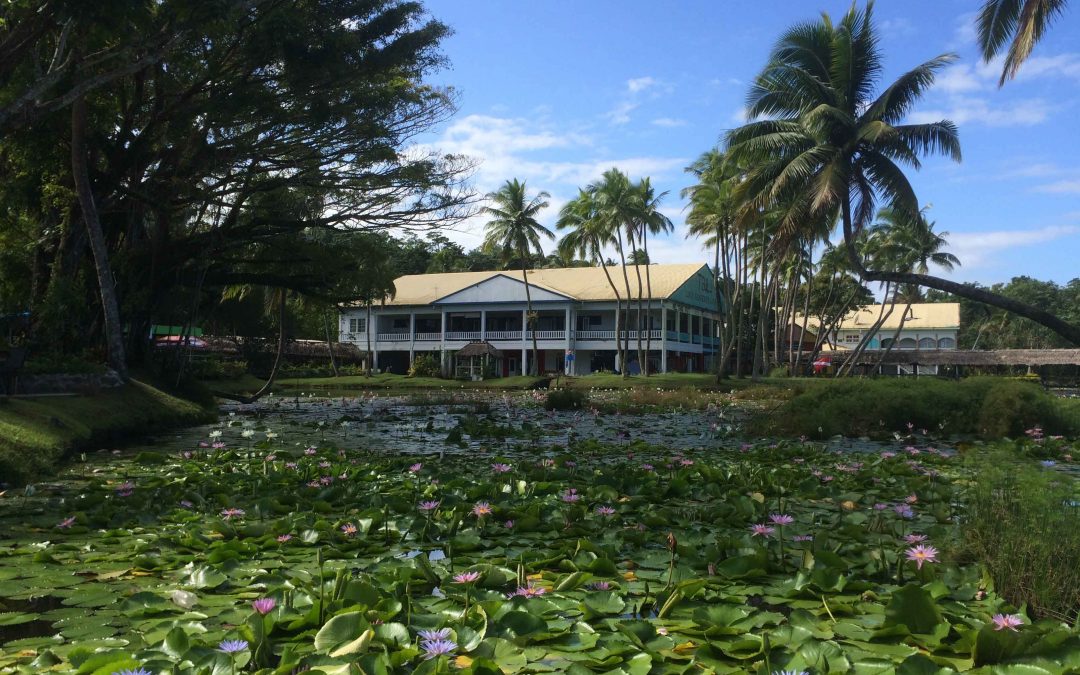 Pacific Harbour : destination plongée