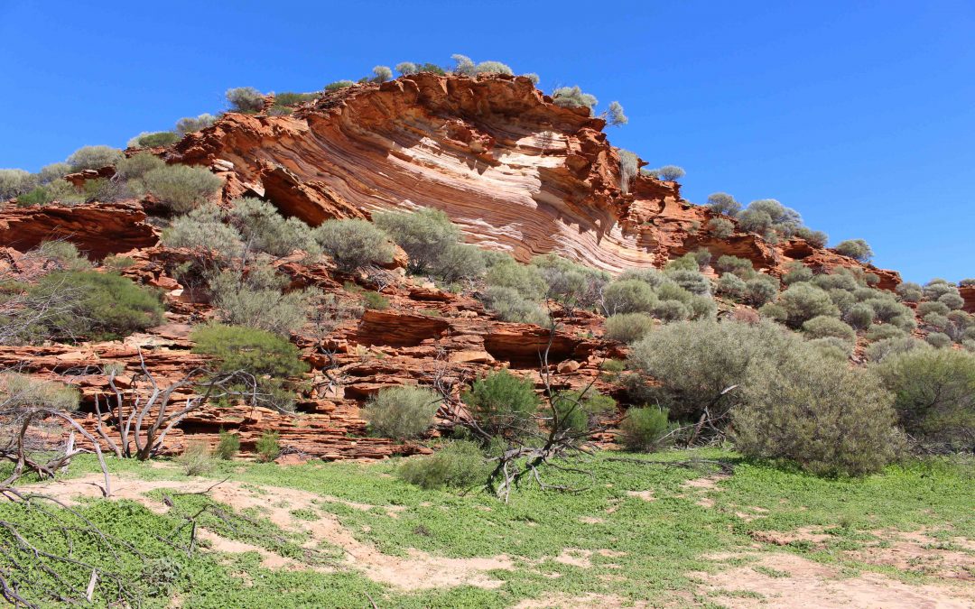 Western Australia : road trip