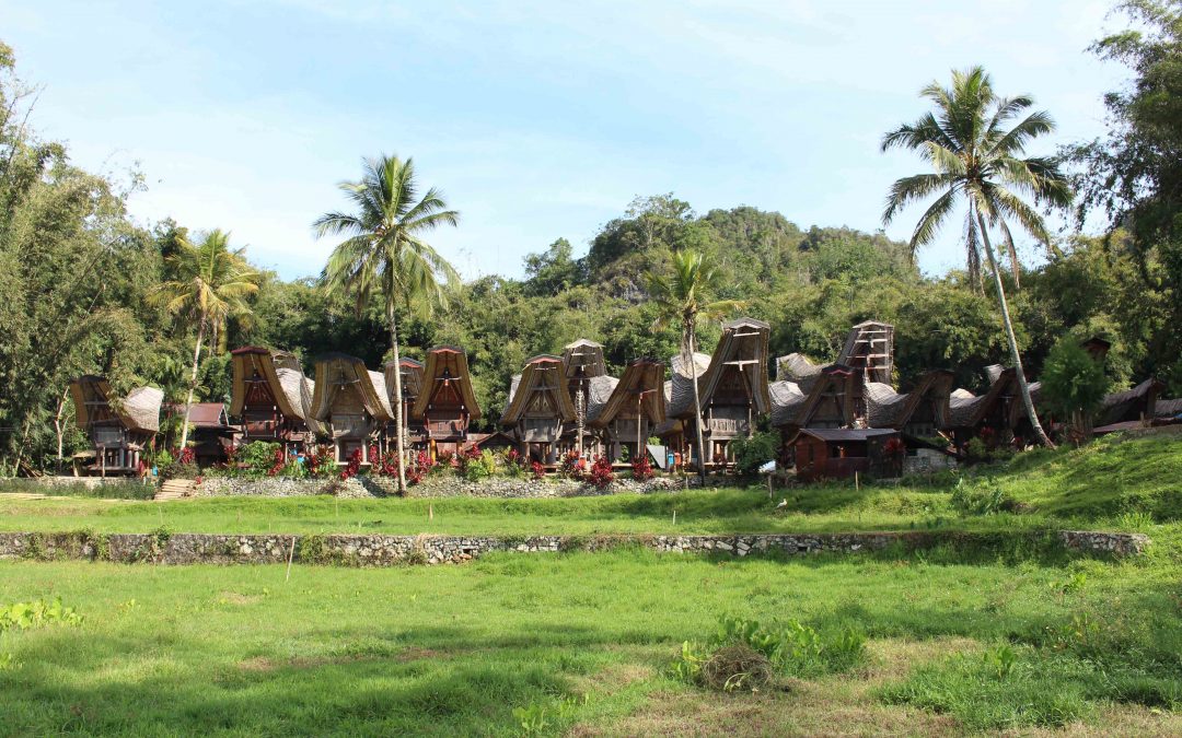 Rantepao : immersion chez les Toraja