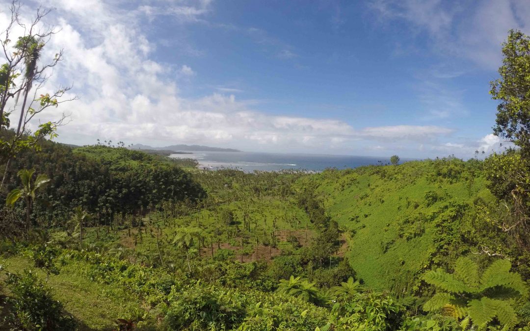 Taveuni : la nature à l’état sauvage