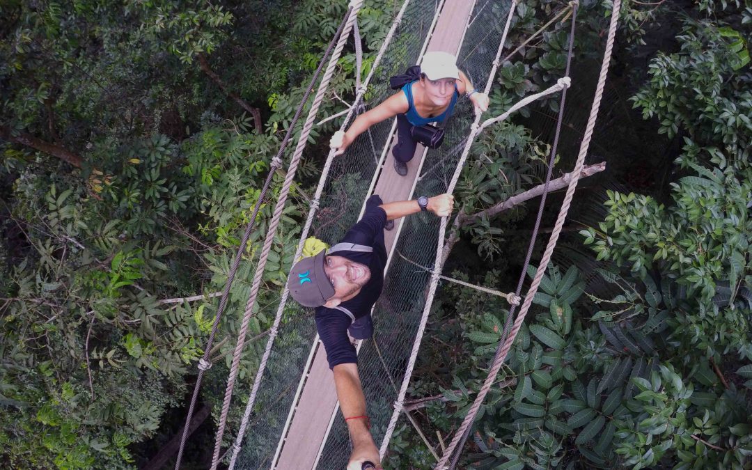 Taman Negara : sur les traces d’Indiana Jones