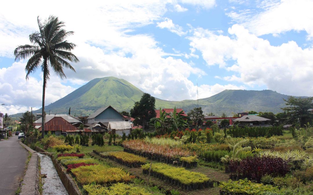 Tomohon : dernière étape indonésienne (pour l’instant)