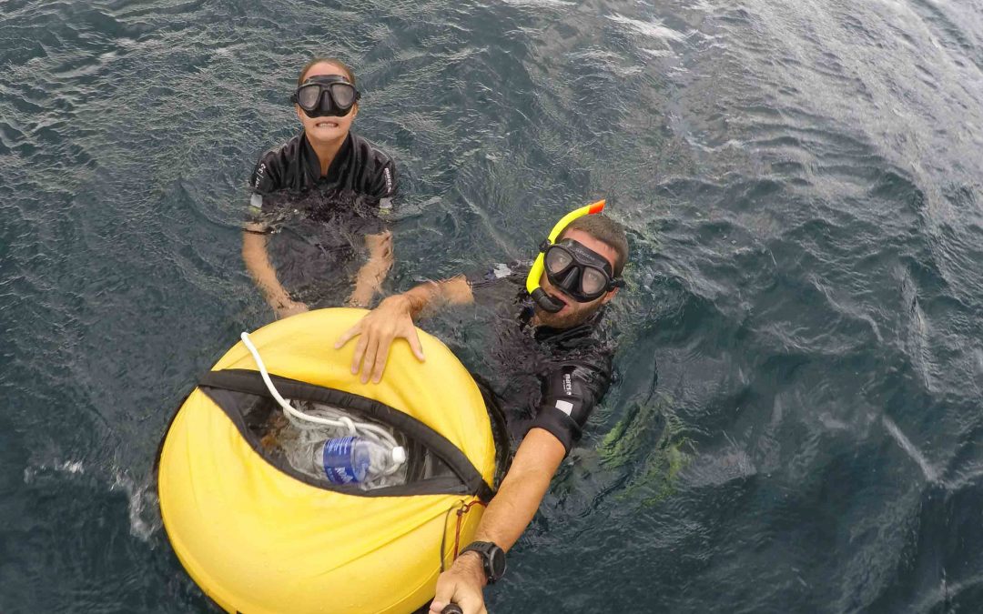 Tioman : initiation au freediving